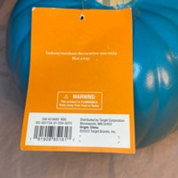 Hyde & Eek! Teal Pumpkin Project Halloween Candy Bowl Decor Pumpkin - Picture 4 of 6